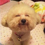 Lulu Lu