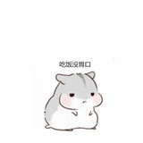 IIIIIIIIII