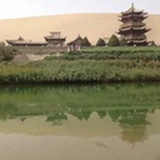 虎妞