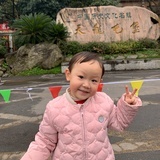 华鹏