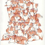 柜子里没擦干净