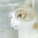 看星星