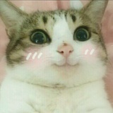 云之巅