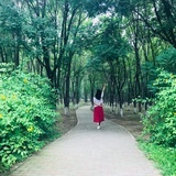 芹溪