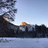 harryliu2002