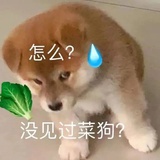 竹子