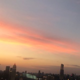 红红鹿鹿