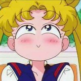太阳和野花