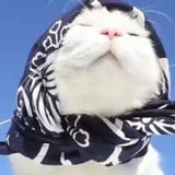 Qq