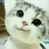 箫韶