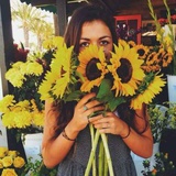 sunlight