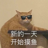 泡泡咕噜噜