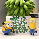 低调的小哥儿