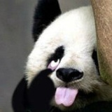 周某-