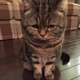BOris