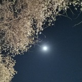 海盐w