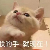 安安宓