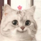 芋头