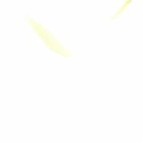 Xi