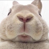 🎐一只旅行的猫♏️