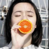 半日闲jx