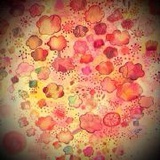 Summer悠悠悠