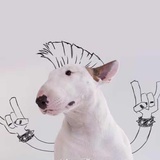 Mohawk