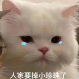 落泪猫猫头