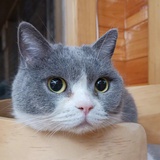haruru
