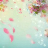 渡者小怪兽