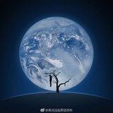 夜舒城