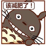 啊，龙猫！