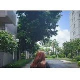 C 、