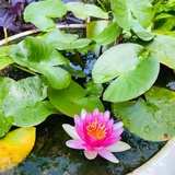 一个人听