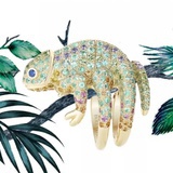 jiajiatudou