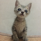 。