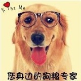 狗粮专家狗哥