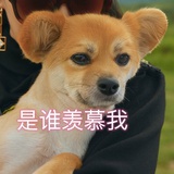 向着阳光微笑