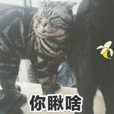 零233