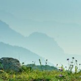 小兔小正