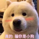 _言止_