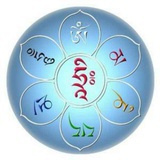 豆友151565643