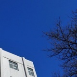 坡渡
