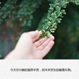 如风随风