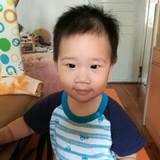 Teddy的兔子