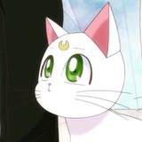 llliii芃