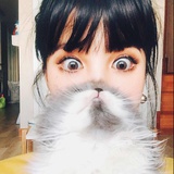 子子 🌙