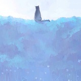笼子里的棕熊