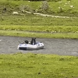 泡泡玛特