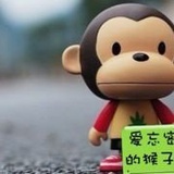 爱忘密码的猴子
